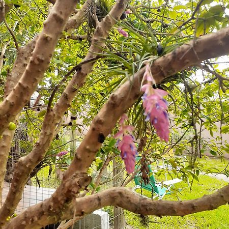 Jabuticasa Cabana De Madeira Na Praia 佩尼亚 外观 照片