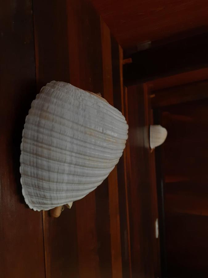 Jabuticasa Cabana De Madeira Na Praia 佩尼亚 外观 照片